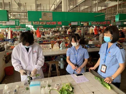 華僑城市場監管所開展食用農產品 你點我檢 快檢開放日活動