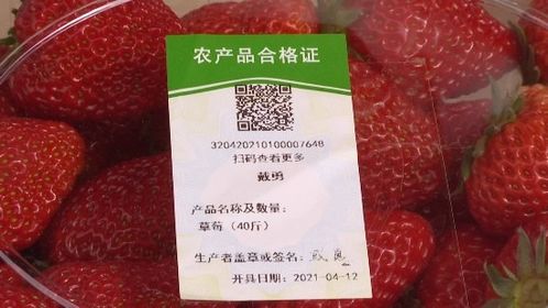 鄉村振興 江蘇常州 以 品質 出 品牌 信息化助力打響農產品品牌 常 字號