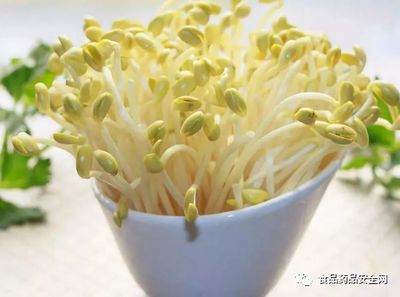 豆芽監管職責分工;豆芽是屬于蔬菜(即食用農產品)還是加工食品的定性爭議問題?僅供參考