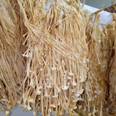 金針菇干貨 食用菌農(nóng)產(chǎn)品無(wú)硫 酒店食材及工廠提煉 批發(fā)聚劃算