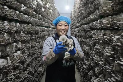 走在前 開新局!闖出綠色循環"大村模式"