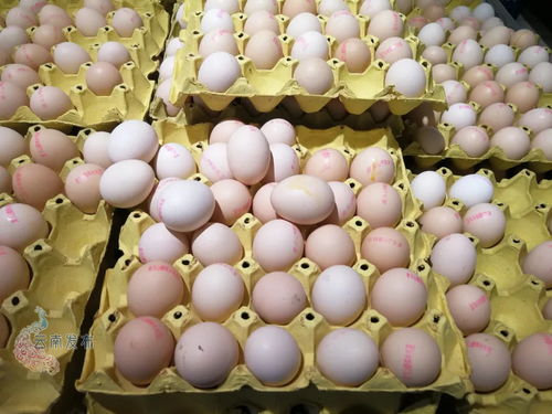 云南全面試行食用農產品合格證制度 涉及蔬菜 水果 畜禽等產品