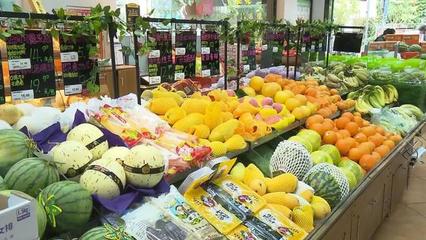 供廈食品有標準了!土筍凍、馬蹄酥 今后請認準這個標志