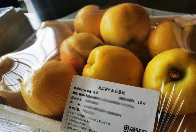 食用農產品合格證試行,農產品也有了“身份證”,可手機掃碼溯源